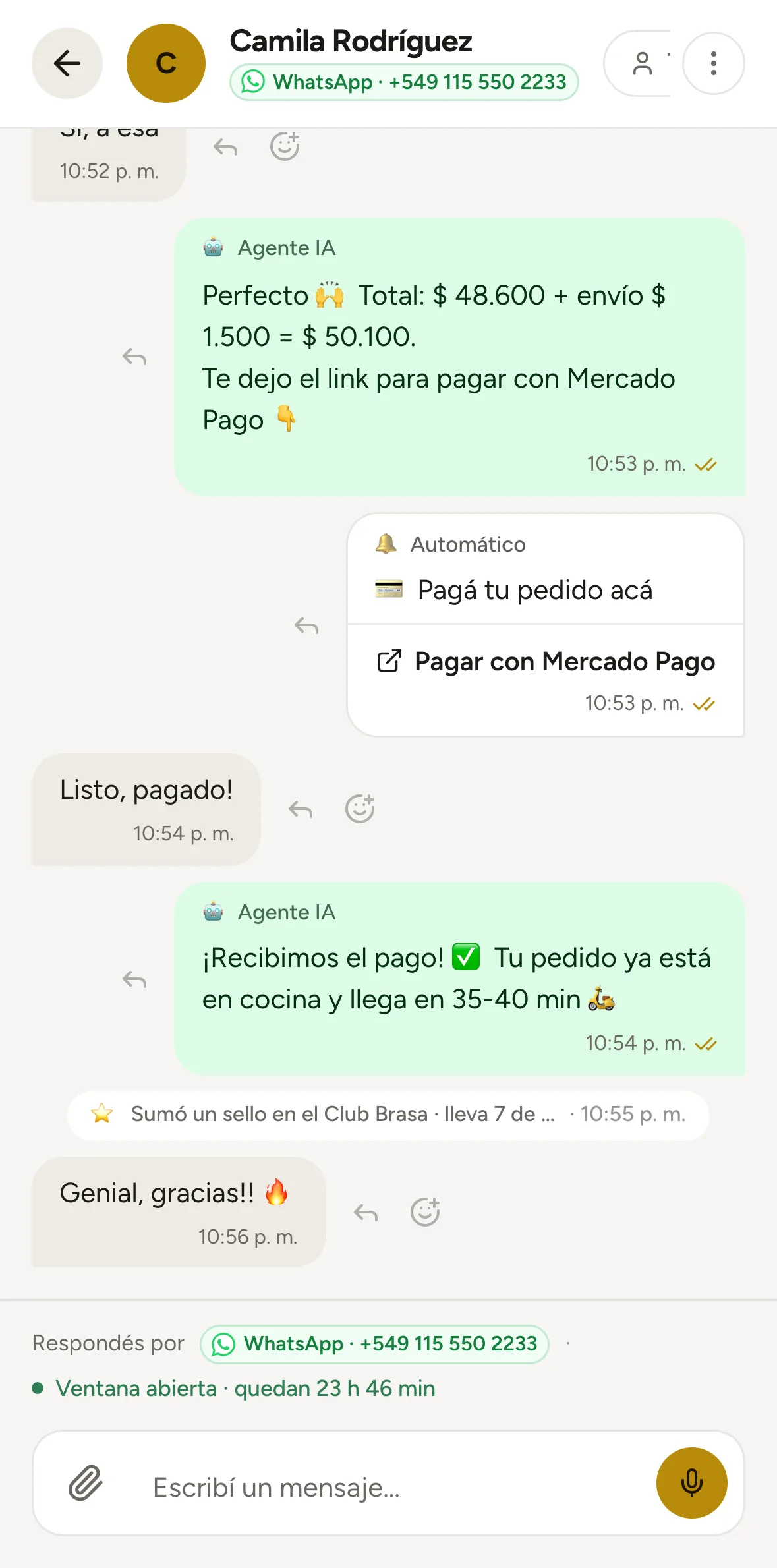 El chat de Camila con la IA